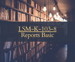LSM-K-103-8 - Reports Basic